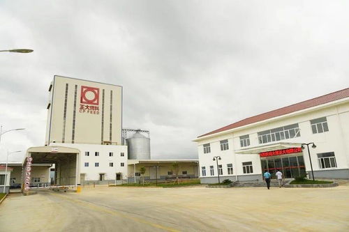 起步開局，大理這樣干 三大工業園區升級省級產業園區，物流行業協會助力發展