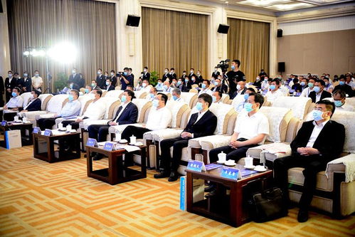 濟寧港航發展集團正式揭牌 攜手物流行業協會共筑區域航運新篇章